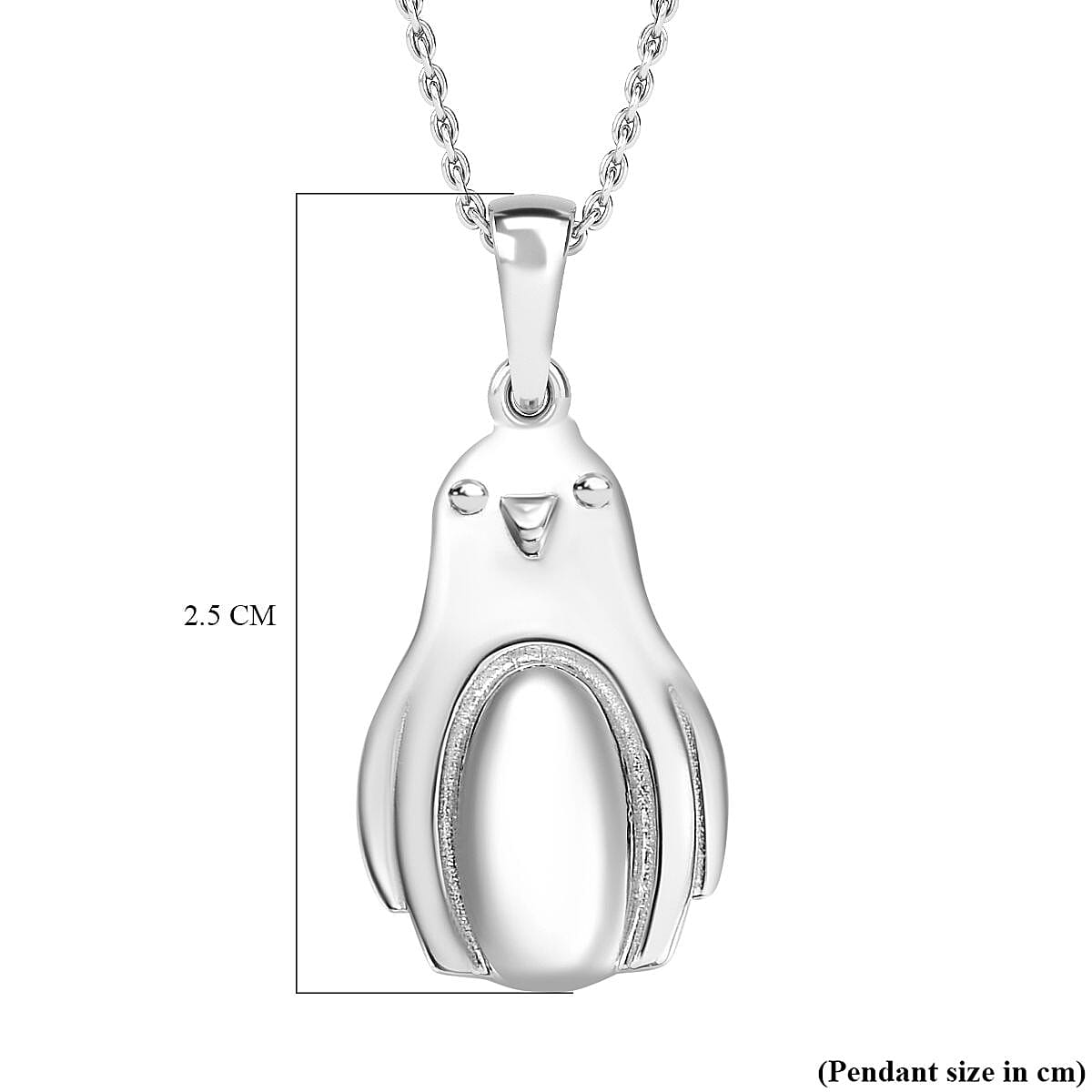Pendant with Chain (Size 20) in rhodium Sterling Silver  Wt. 5.9 Gms
