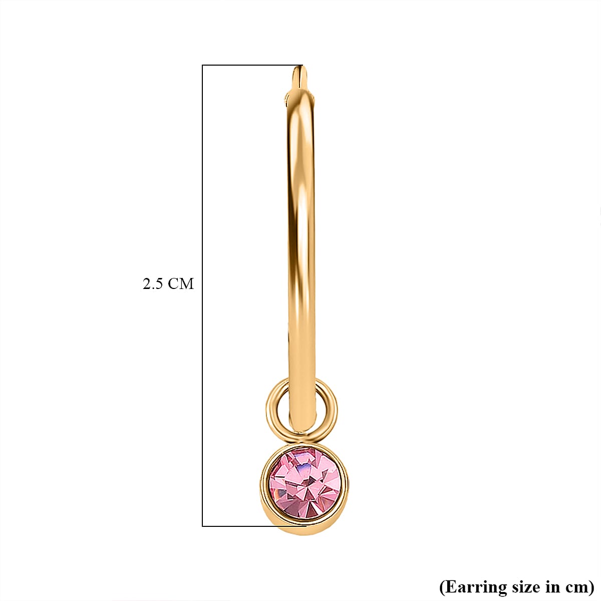 5 Piece Set - Golden & Multi Color Crystal Charms and Earrings