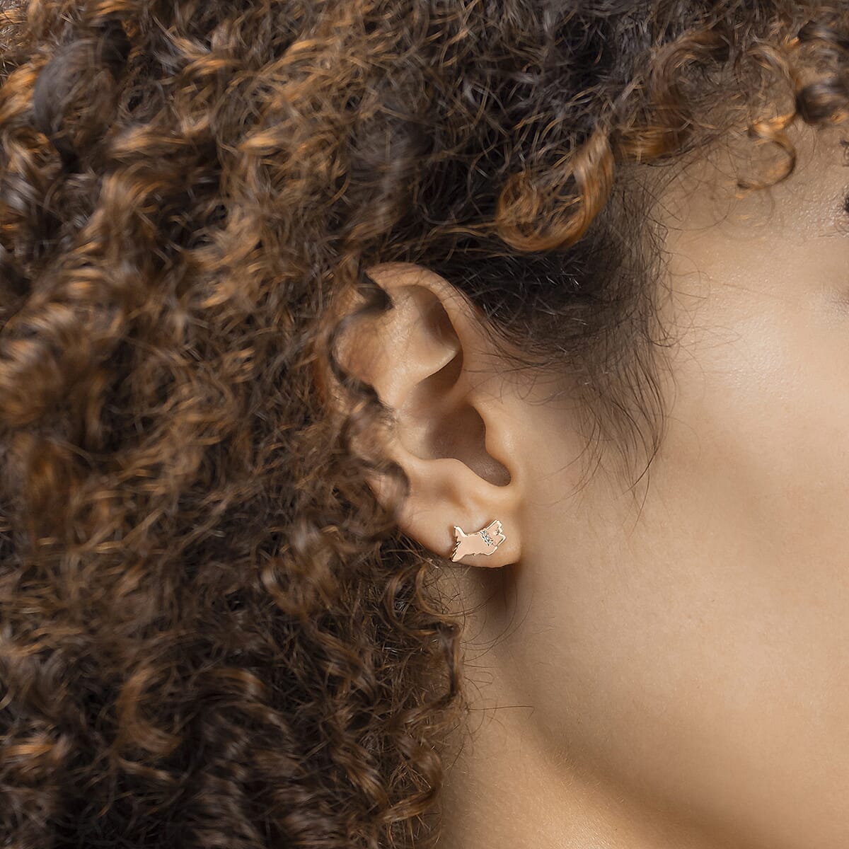 Ladies Radley Watch Set with Charm Bracelet, Scottie Dog and Crystal Earring Studs With Push Back - Blue