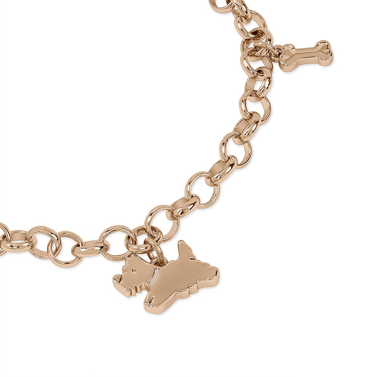 Ladies Radley Watch Set with Charm Bracelet, Scottie Dog and Crystal Earring Studs With Push Back - Blue