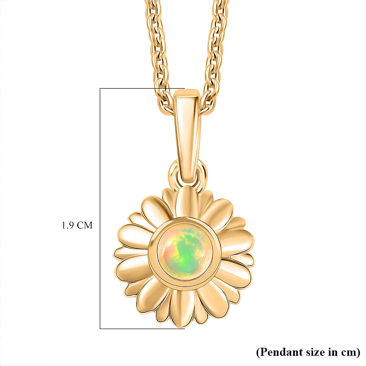 Ethiopian Opal Pendant with Chain (Size 20)