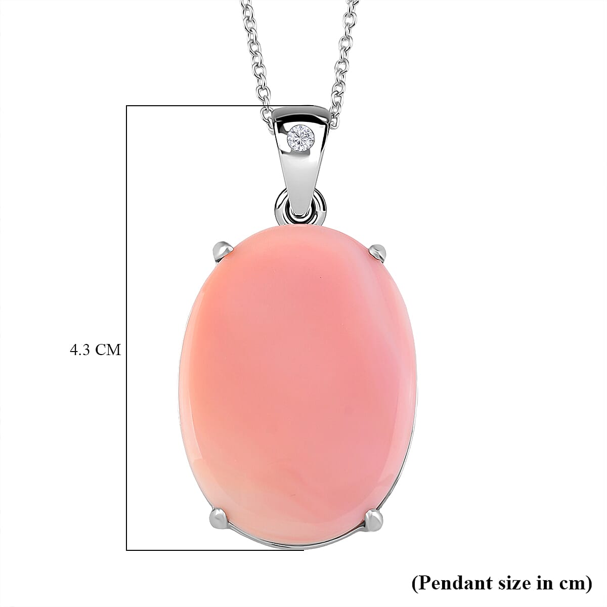 Queen Conch Shell & Lab Grown Diamond Pendant with Chain (Size 18) with Lobster Clasp in Rhodium Overlay Sterling Silver 25.95 Ct, Silver Wt. 7.30 Gms Queen Conch Shell & Lab Grown Diamond Pendant with Chain (Size 18) with Lobster Clasp in Rhodium Overlay Sterling Silver 25.95 Ct, Silver Wt. 7.30 Gms