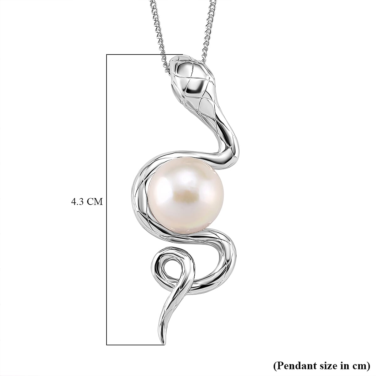 AAA White Edison Pearl (10-11 MM)& White Zircon Pendant with Chain (Size 18) in Rhodium Overlay Sterling Silver 8.26 Ct, Silver Wt. 5.90 Gms. AAA White Edison Pearl (10-11 MM)& White Zircon Pendant with Chain (Size 18) in Rhodium Overlay Sterling Silver 8.26 Ct, Silver Wt. 5.90 Gms.