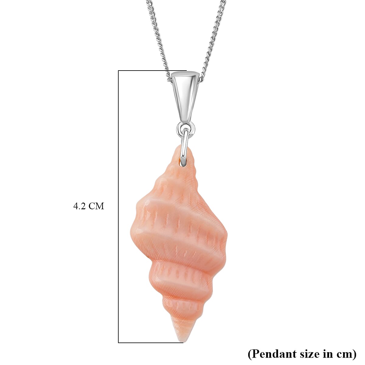 Queen Conch Shell Pendant with Chain (Size 18) in Rhodium Overlay Sterling Silver 12.12 Ct.