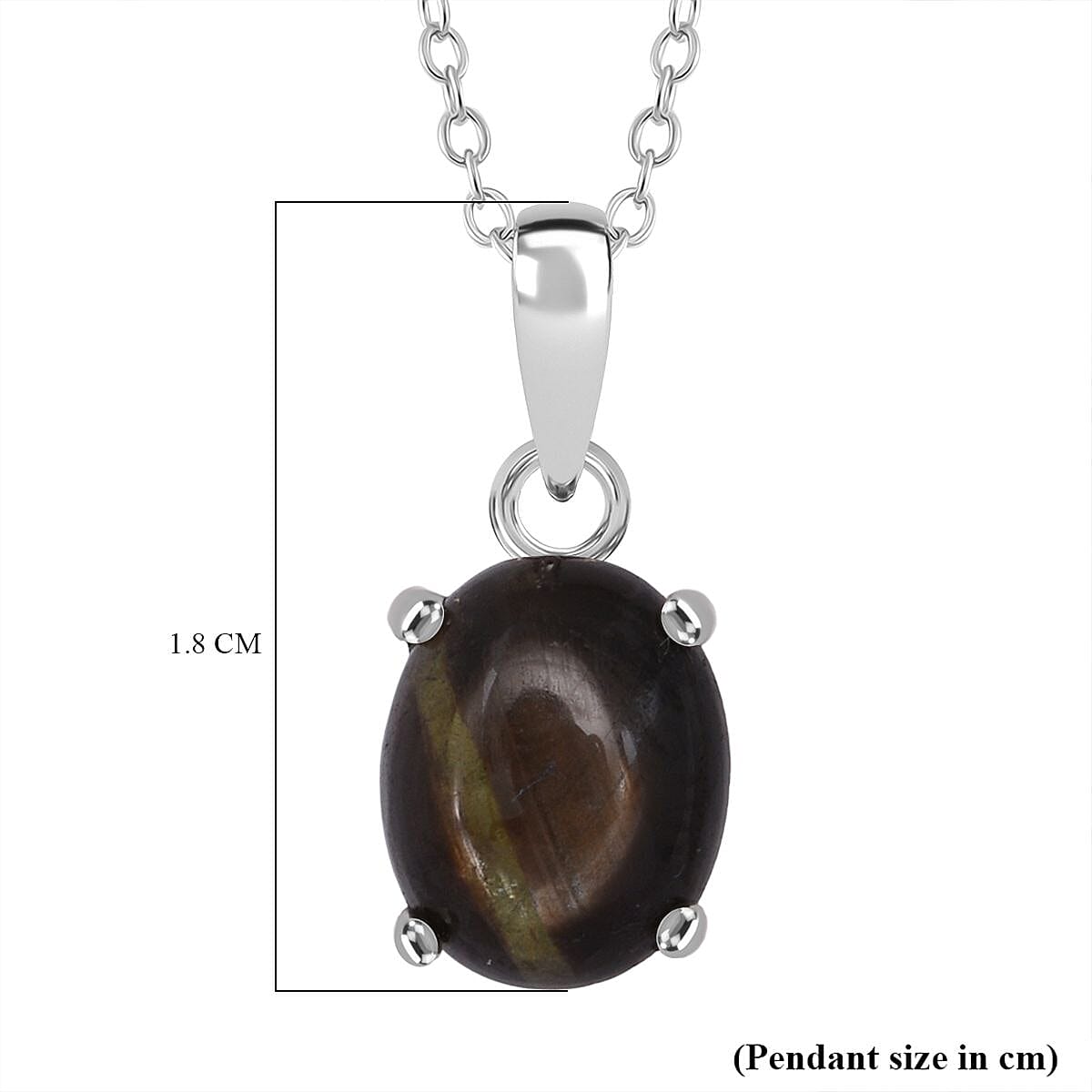 Chantaburi  Black Star Sapphire Pendant with Chain (Size 20) in Rhodium Overlay Sterling Silver 4.69 Ct.