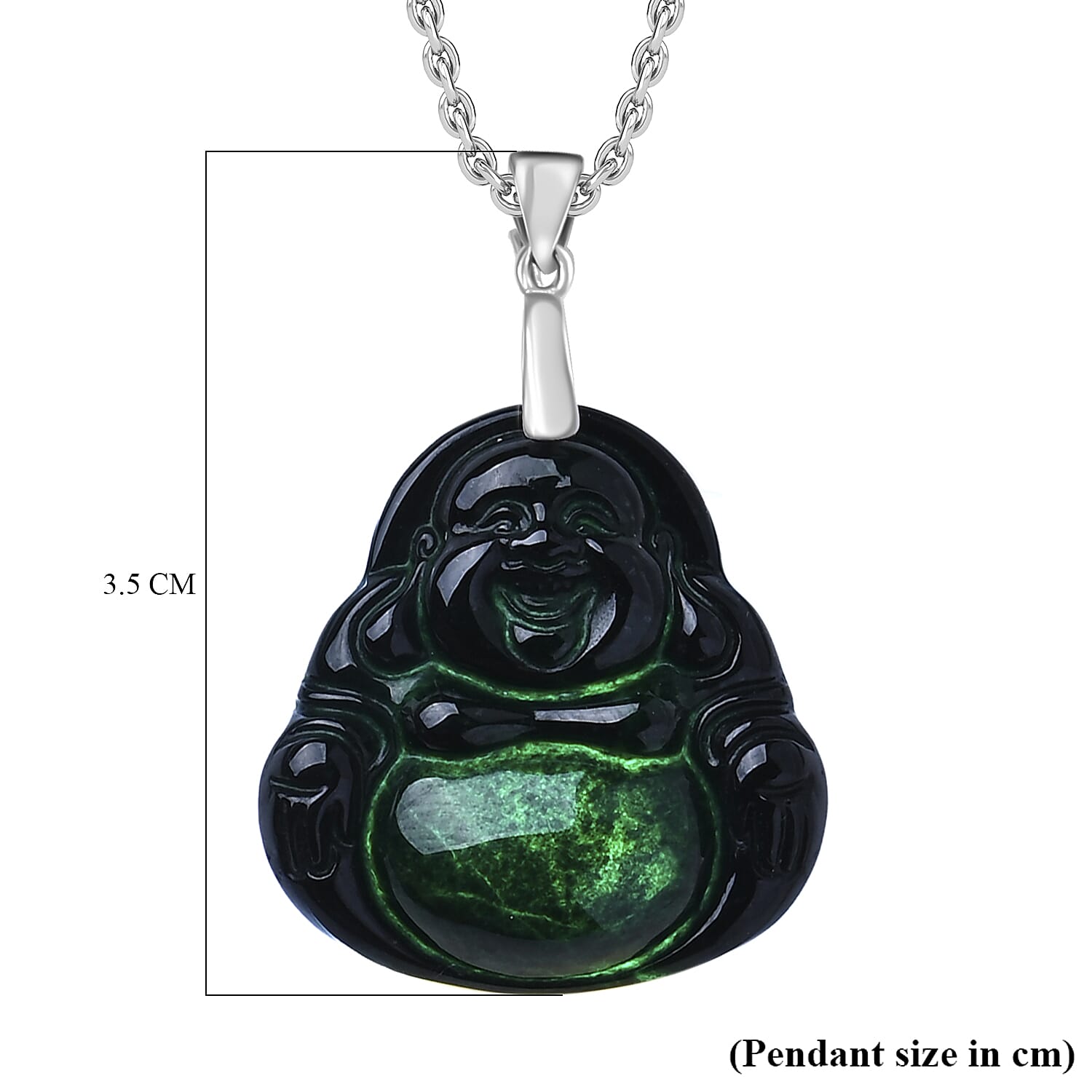 Black Jade Pendant with Chain (Size 20) in Rhodium Overlay Sterling Silver  10.000  Ct.