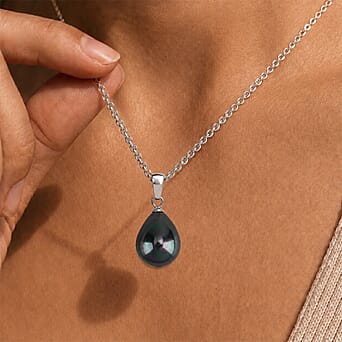 https://tjcuk.sirv.com/Products/44/4/4440868/4440868_2.jpg?w=342&h=342