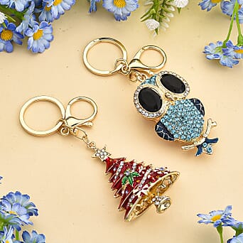 https://tjcuk.sirv.com/Products/44/4/4446111/Set-of-2-Multi-Color-Crystal-Keychain_4446111_1.jpg?w=342&h=342