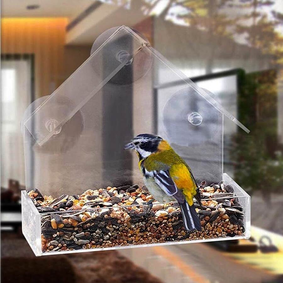 Transparent Acrylic Bird Feeder with Fixed Tray and 3 Suction Cups