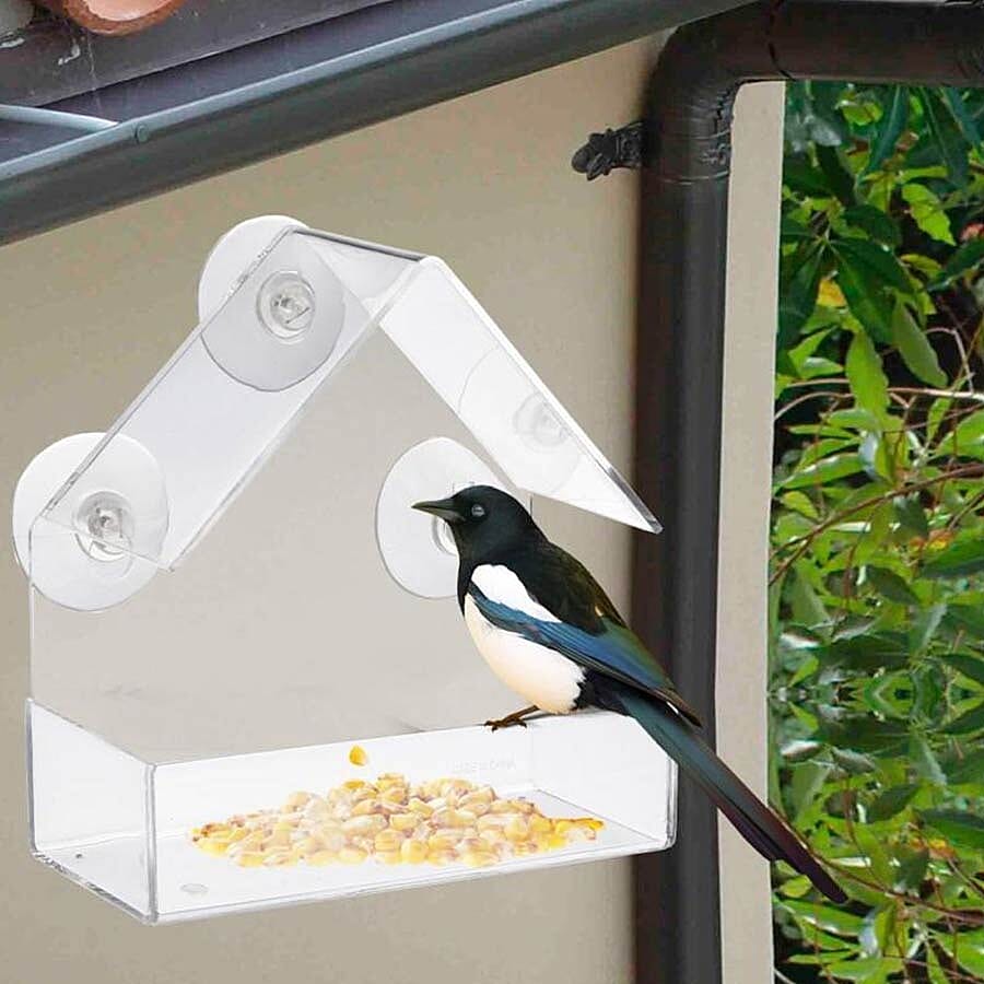Transparent Acrylic Bird Feeder with Fixed Tray and 3 Suction Cups