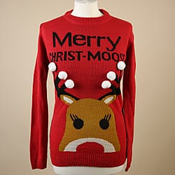 Ladies 3D Xmas Moose Jumper (Size M/ 10-12) - Red