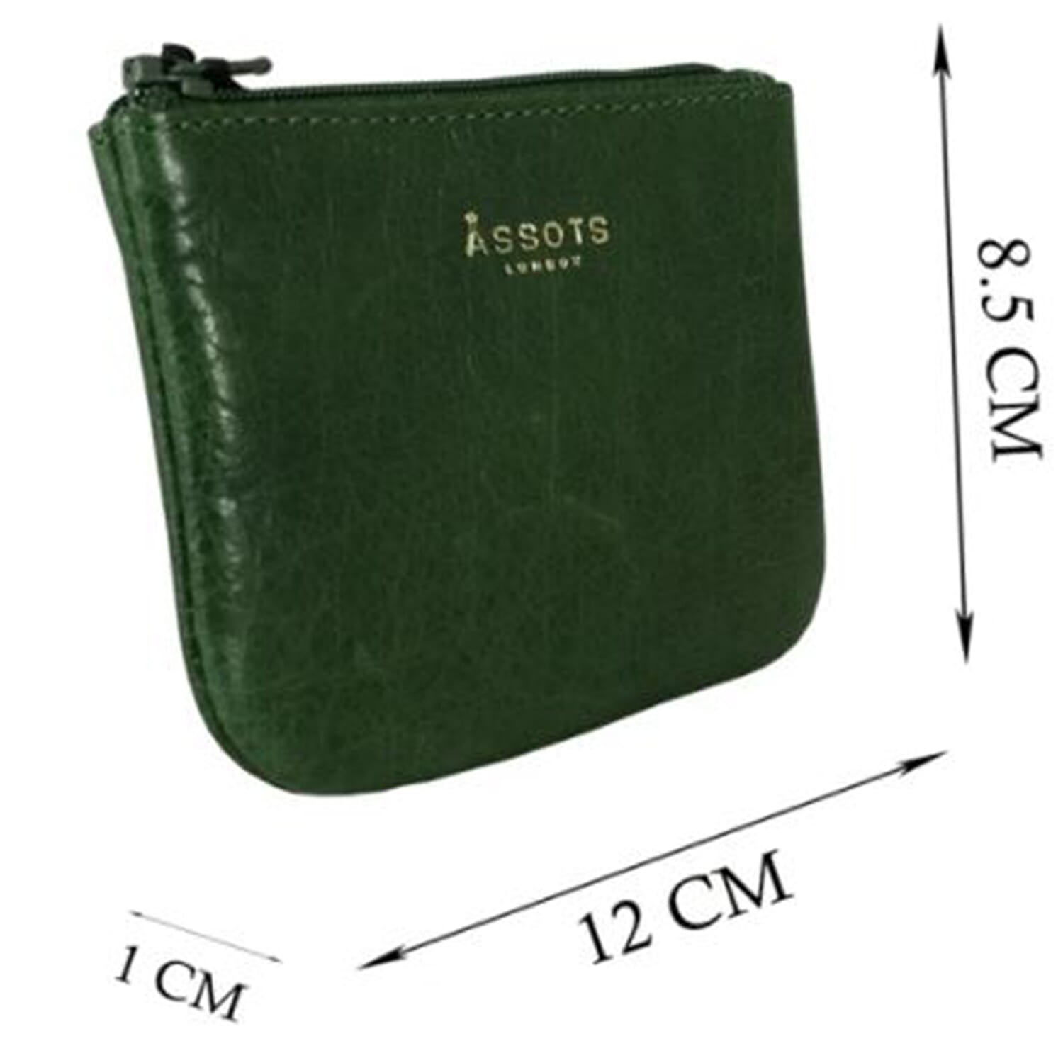 Assots London  Full Grain Leather Zip Top Coin Purse (Size 12x8cm) - Green