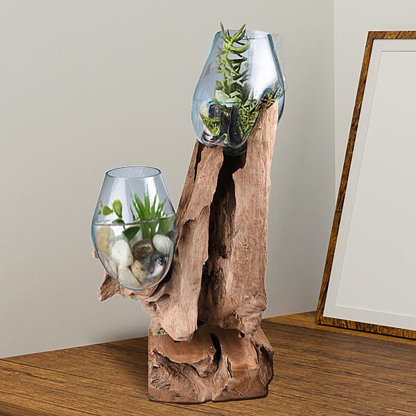 Jardin De Bali - 2 Vase on Teak Wood (Size-70x50x22Cm)