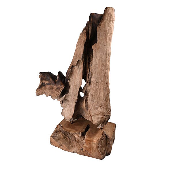 Jardin De Bali - 2 Vase on Teak Wood (Size-70x50x22Cm)