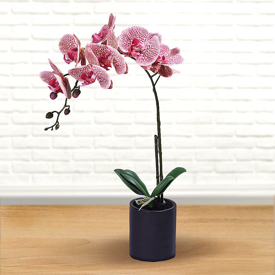Decorative Artificial Orchid with Ceramic Pot (Size:11x35x55Cm) - Black and Pink