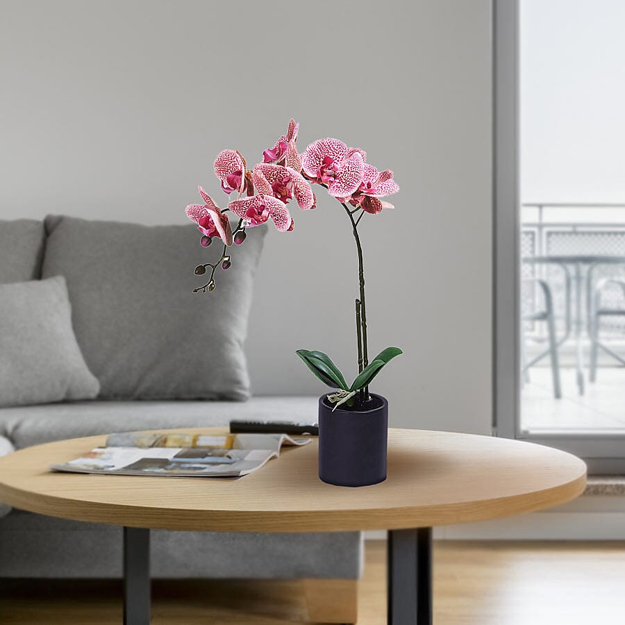 Decorative Artificial Orchid with Ceramic Pot (Size:11x35x55Cm) - Black and Pink