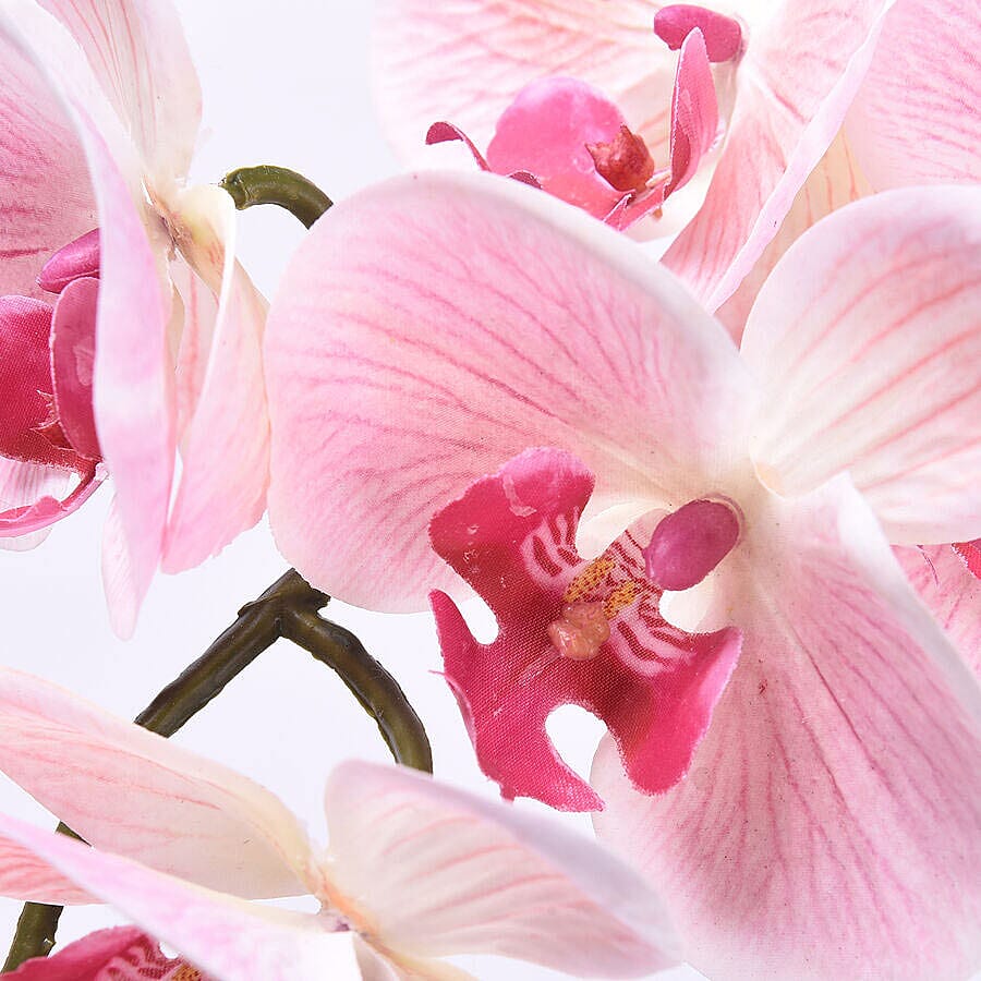 Decorative Artificial Orchid with Ceramic Pot (Size:11x35x55Cm) - Black and Pink