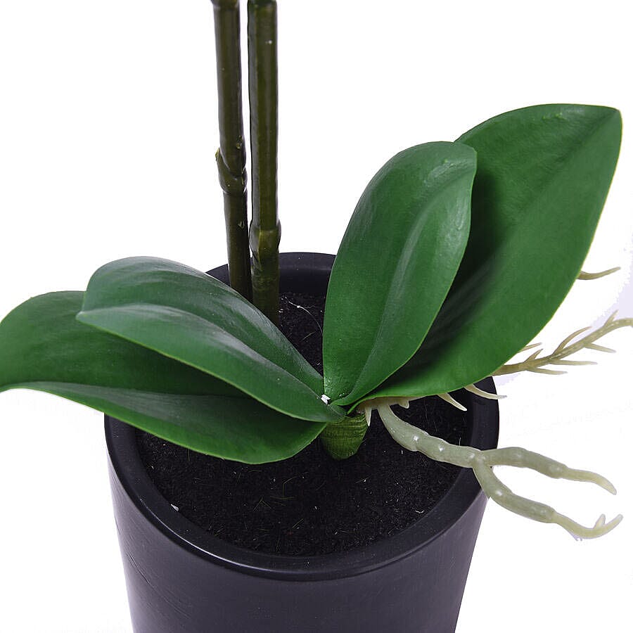Decorative Artificial Orchid with Ceramic Pot (Size:11x35x55Cm) - Black and Pink