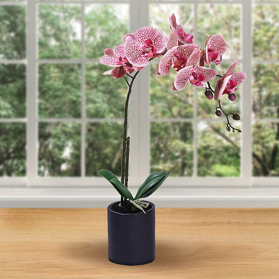 Decorative Artificial Orchid with Ceramic Pot (Size:11x35x55Cm) - Black and Tiger