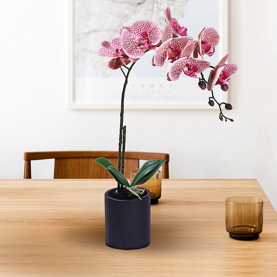 Decorative Artificial Orchid with Ceramic Pot (Size:11x35x55Cm) - Black and Tiger