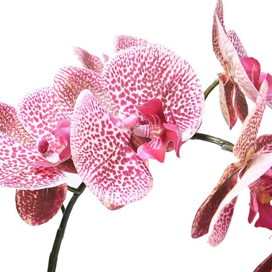 Decorative Artificial Orchid with Ceramic Pot (Size:11x35x55Cm) - Black and Tiger