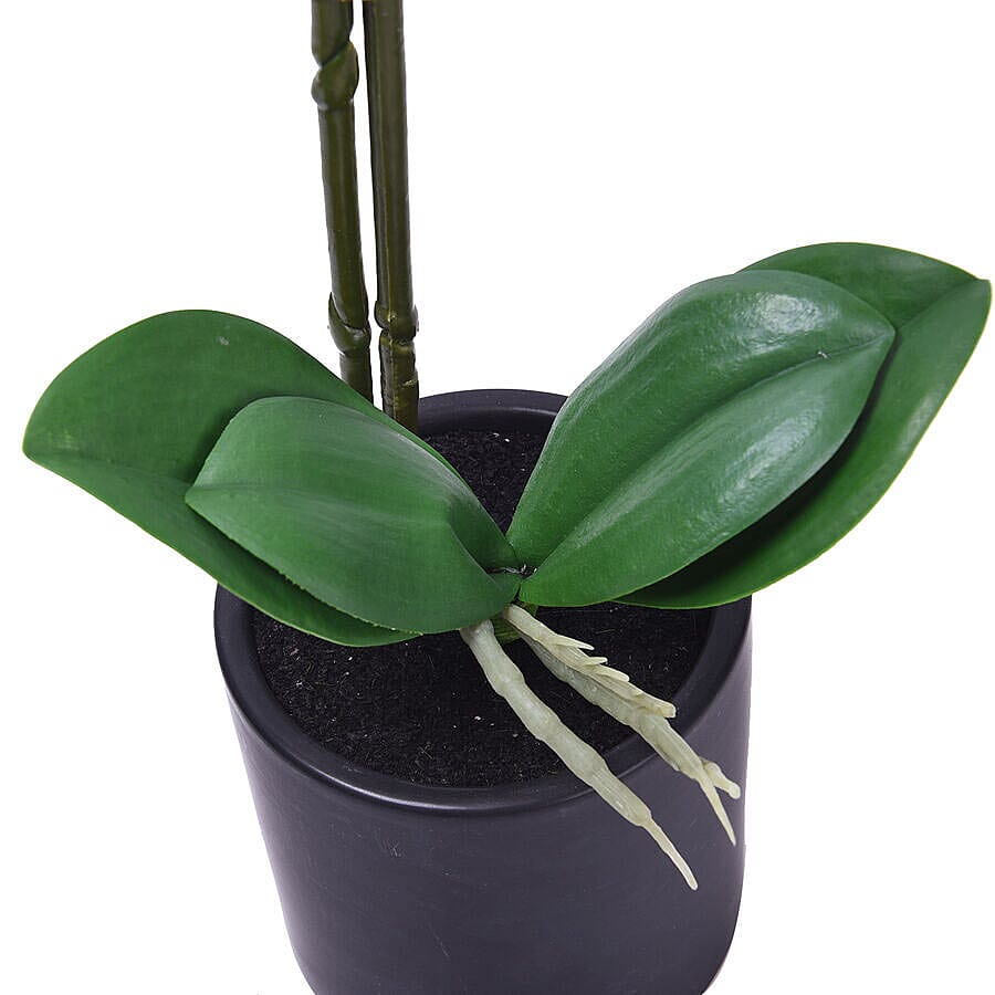 Decorative Artificial Orchid with Ceramic Pot (Size:11x35x55Cm) - Black and Tiger
