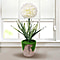 Decorative Artificial Hydrangea with Ceramic Pot (Size:10x10x34Cm) - White