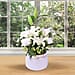 Decorative Artificial Ceramic Vase with Floral Pot (Size:21x21x58Cm) - White