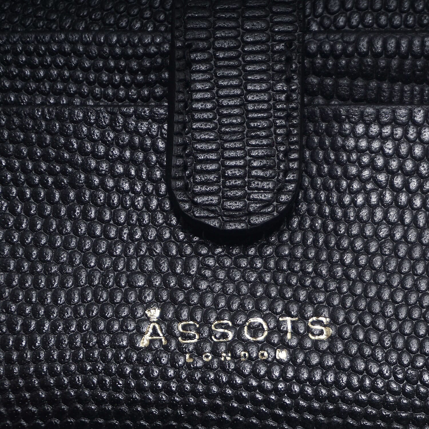 Assots London Grove Lizard Skin Texture 100% Genuine Leather RFID Cardholder (Size 8x10cm) - Black
