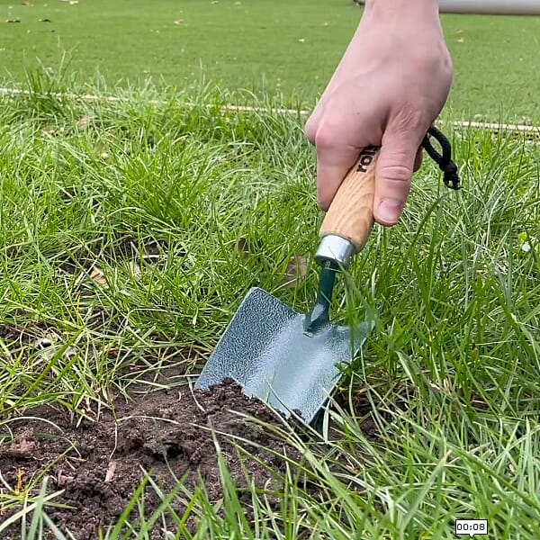 Rolson Heavy Duty Carbon Steel Hand Trowel (33x9 cm)