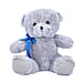Bear Plush Toy for Kids