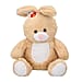 Rabbit Plush Toy for Kids
