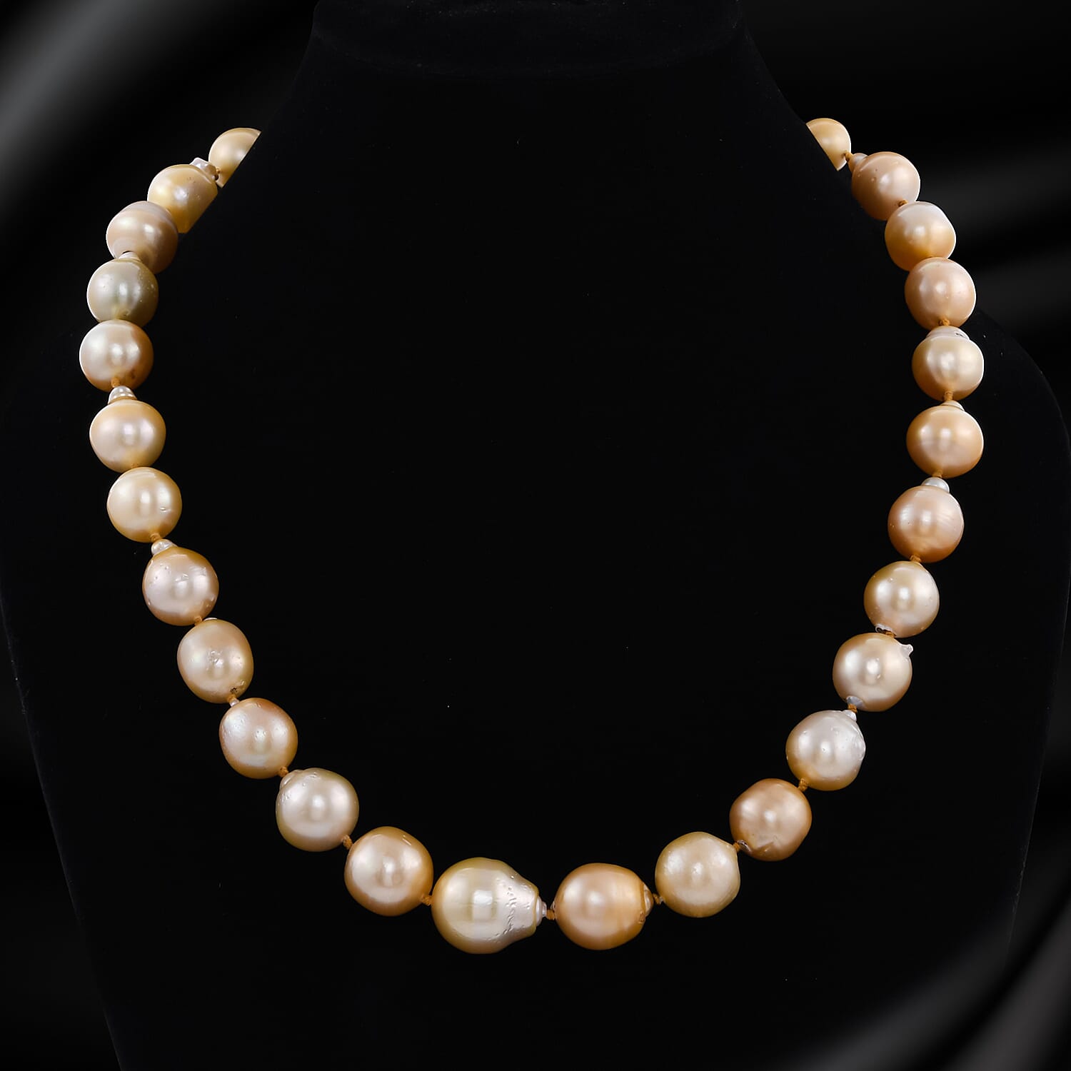 Limited Available- South Sea Golden Pearl Necklace (Size 20)