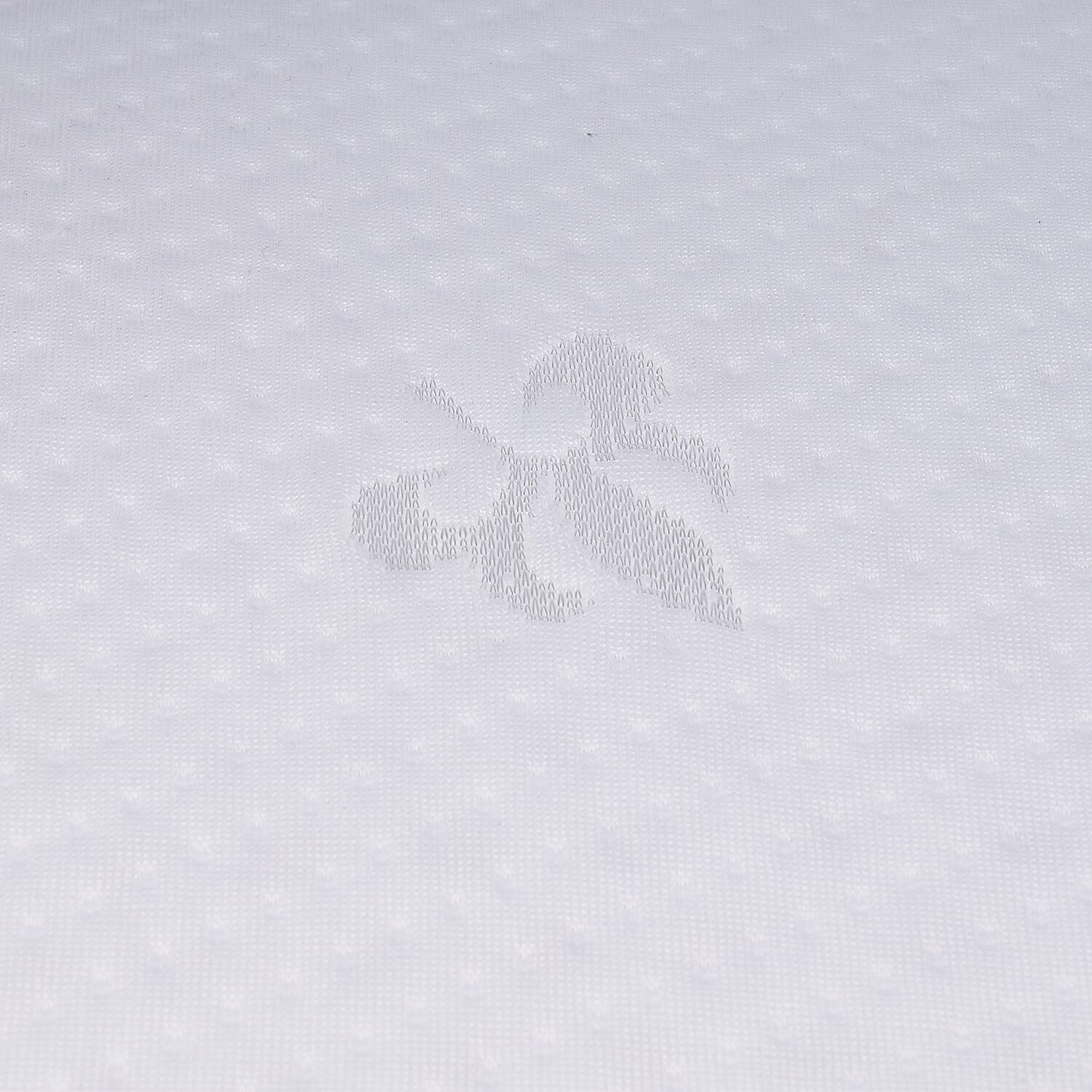 Close Out Deal- Double Layer Covered Latex Pillow (Size 60x40 cm)