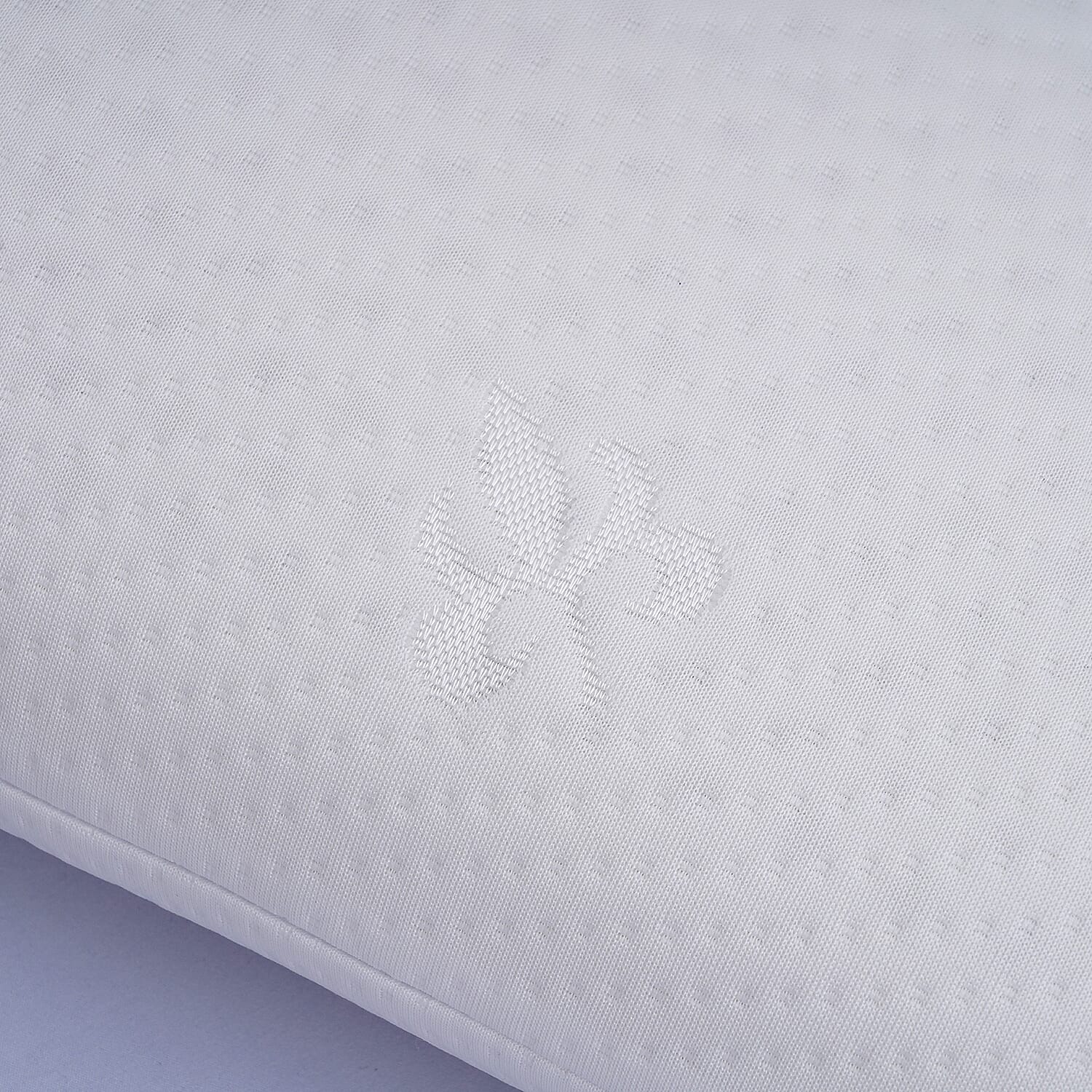 Close Out Deal- Double Layer Covered Latex Pillow (Size 60x40 cm)