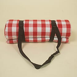 TJC Small Checker Pattern Picnic Blanket (Size 150x200Cm) - Red & White