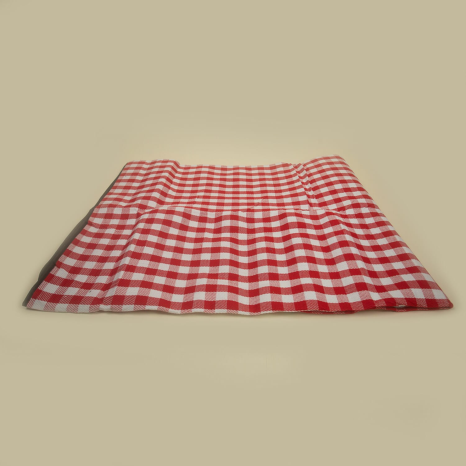 TJC Small Checker Pattern Picnic Blanket (Size 150x200Cm) - Red & White