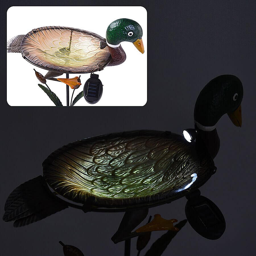 Garden Theme Duck Shaped Birdbath with Solar Light - Green and Multi