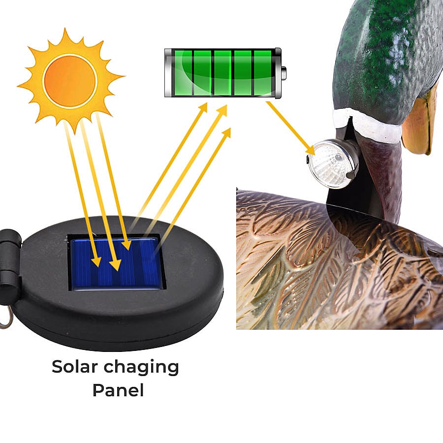 Garden Theme Duck Shaped Birdbath with Solar Light - Green and Multi