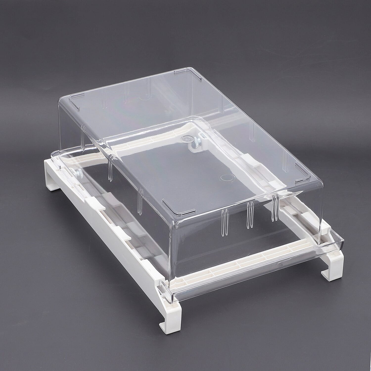 Transparent Refrigerator Storage Drawer (Size 30x20x9 cm)