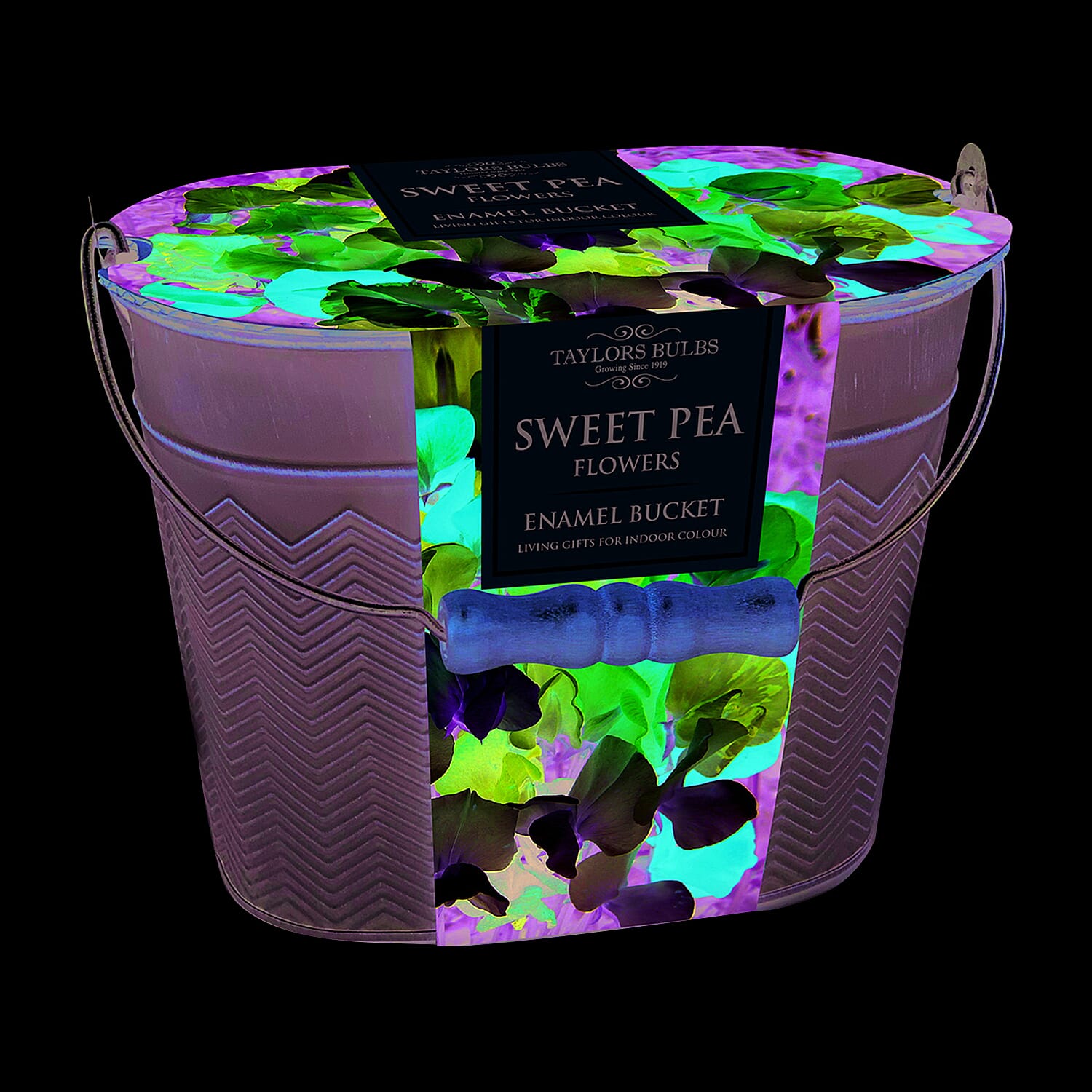 Taylors Metal Bucket Planter - Sweet Pea Mix Seeds