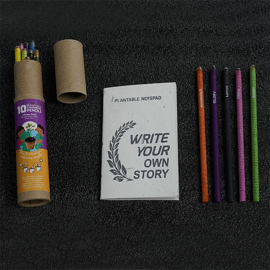 Plantable Stationary Box (1 Notepad + 5 Seed Colour Pencils) (Long)