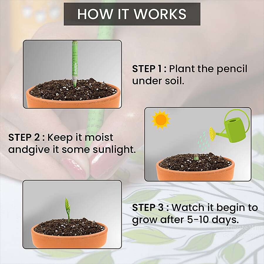 Plantable Stationary Box (1 Notepad + 5 Seed Colour Pencils) (Long)
