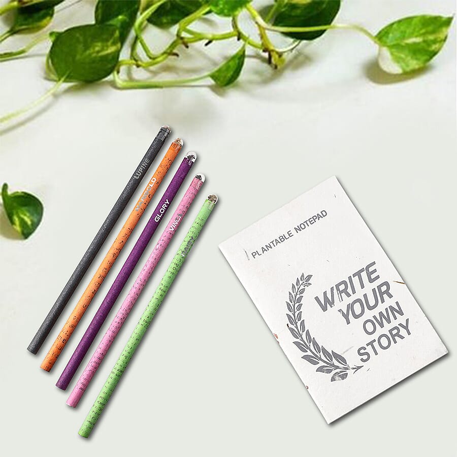 Plantable Stationary Box (1 Notepad + 5 Seed Colour Pencils) (Long)