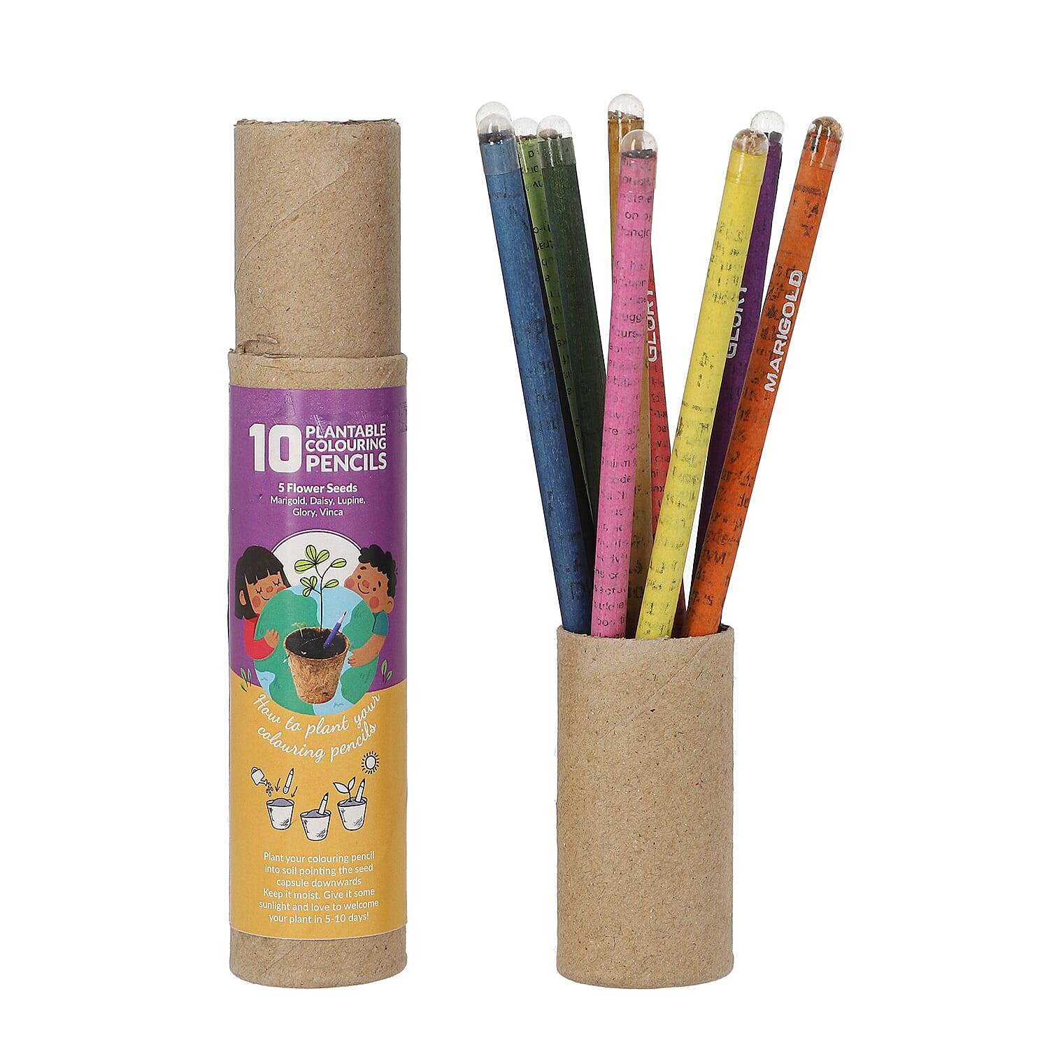 Plantable Mini Colouring Pencil Small (10 pc) (Flower Seeds)