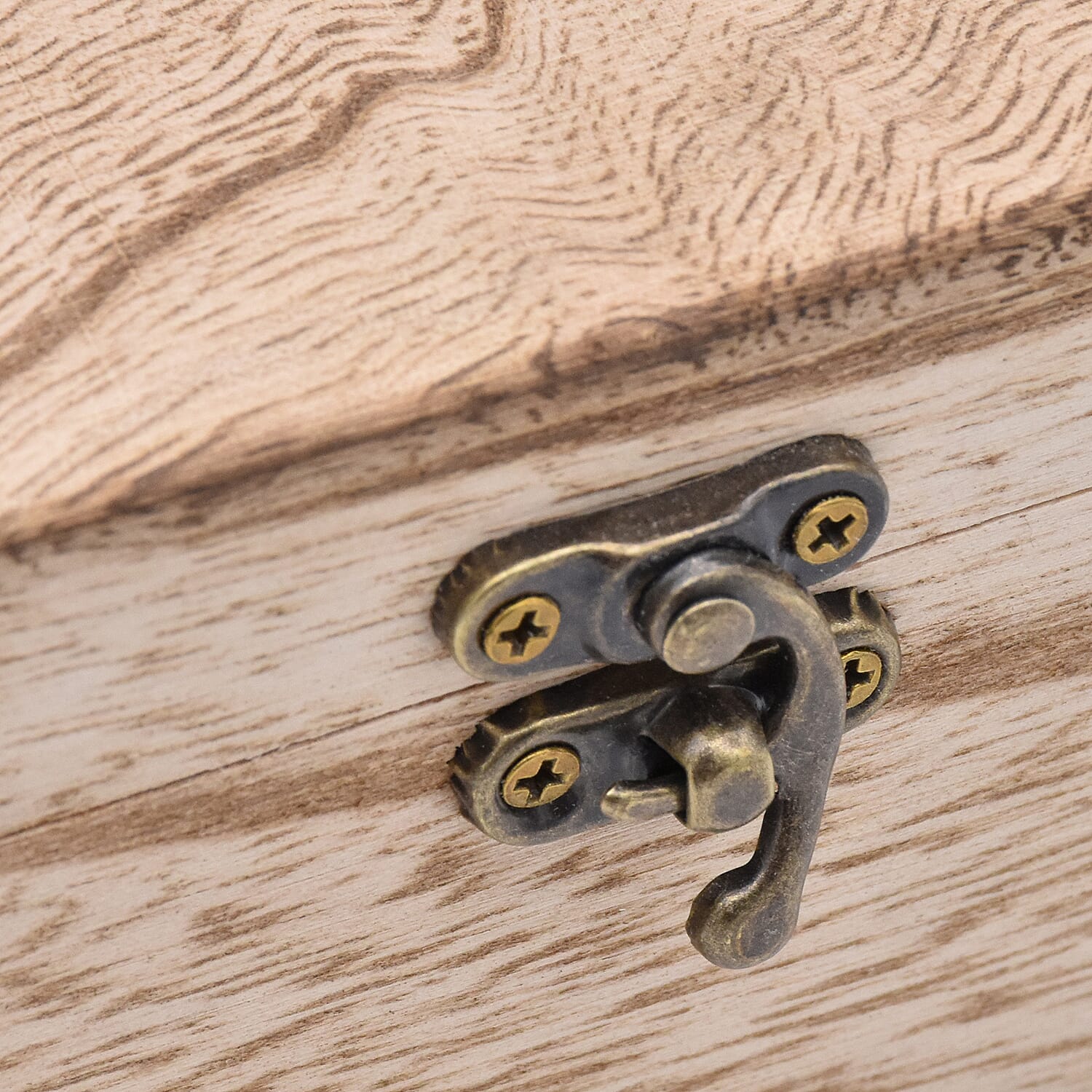 Botanica Sycamore Zebranowood and Woodlink Strap Watch