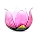 Garden decoration Pink Color Glass-Iron material