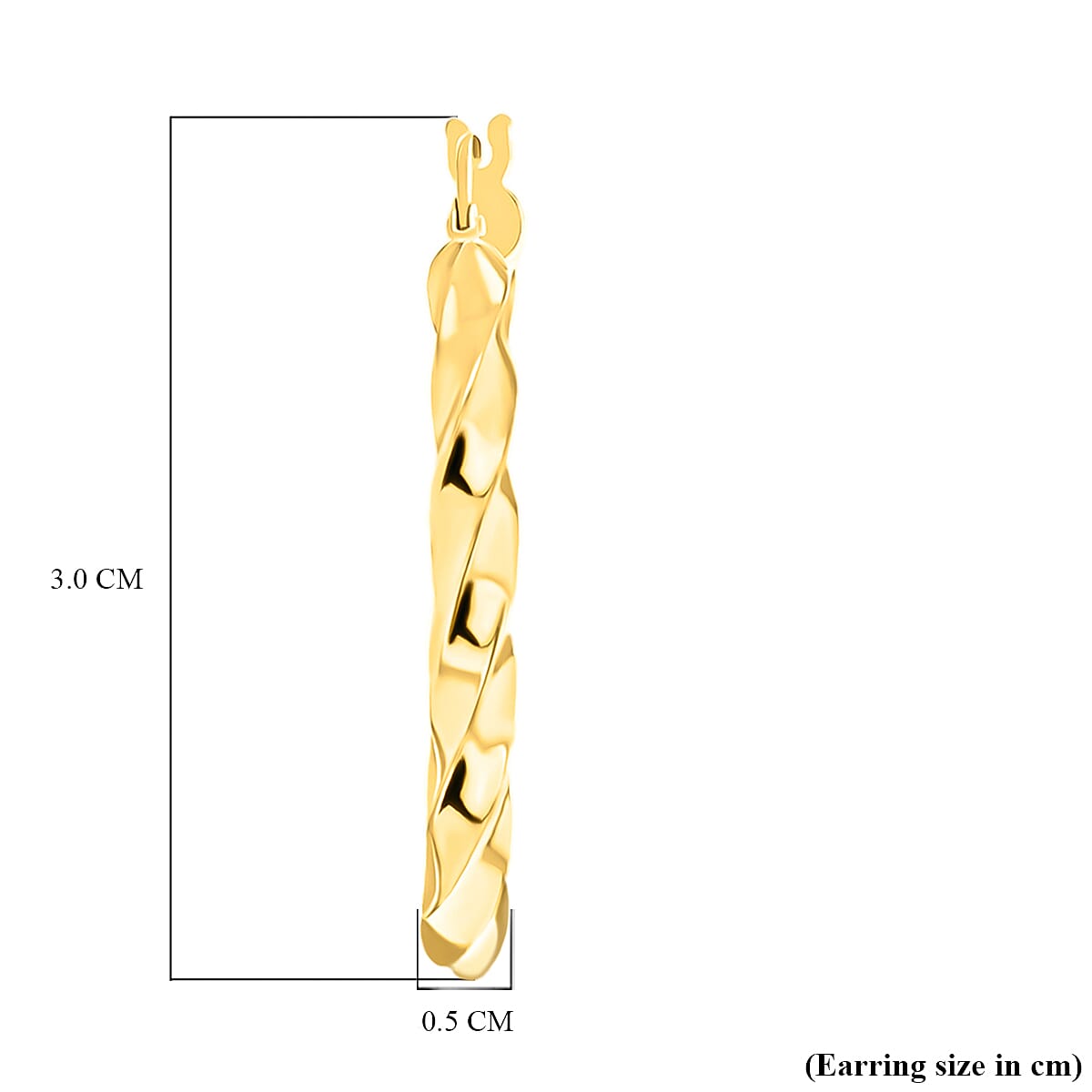 9K Yellow Gold Twist Creole Earrings with Clasp