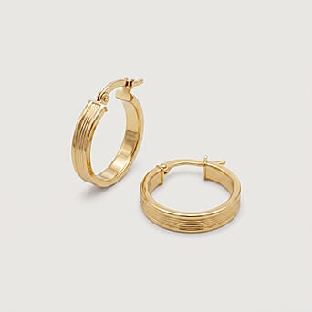 https://tjcuk.sirv.com/Products/60/9/6092929/9K-Yellow-Gold-4MM-Tube-21MM-Patterned-Hoop-Creole-Earrings-1-4-grams_6092929_3.jpg?w=342&h=342