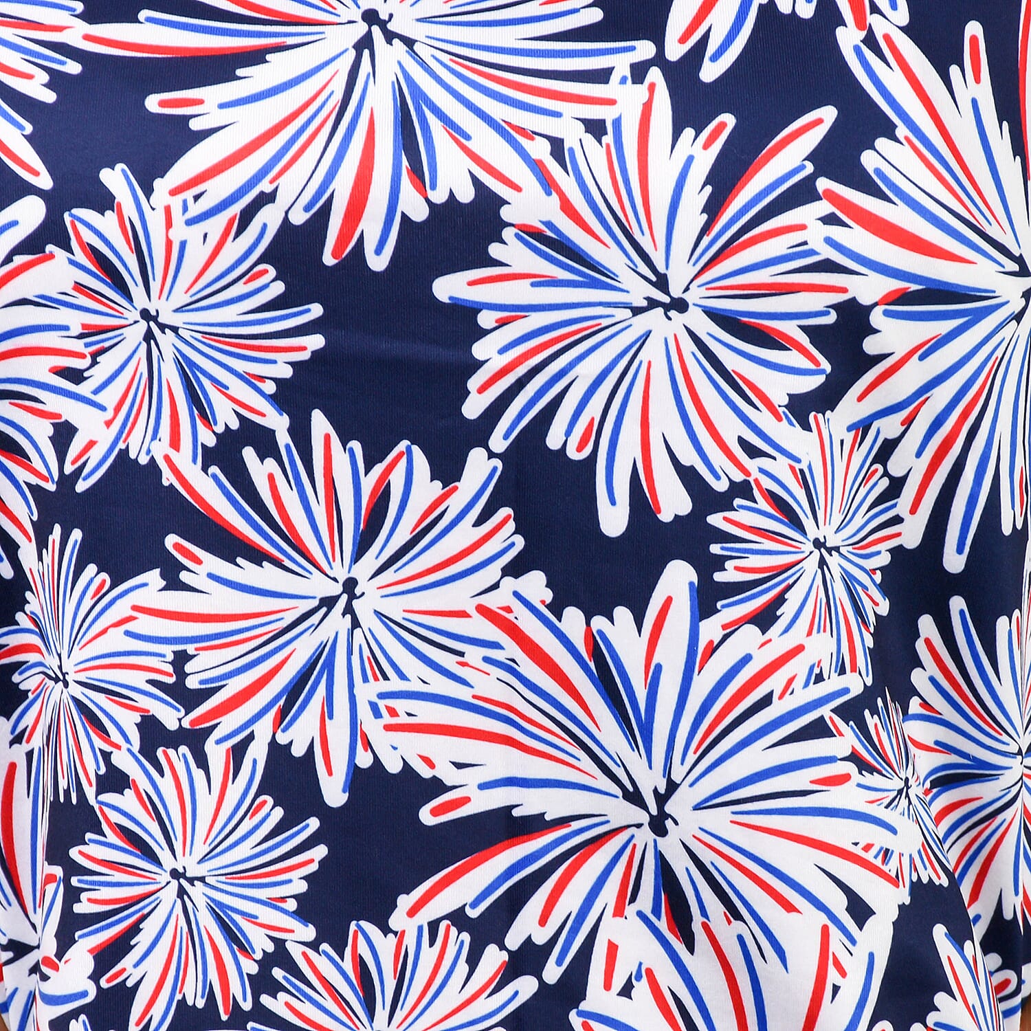 Aura Boutique Printed Sleeveless Top (Size S) - White & Blue